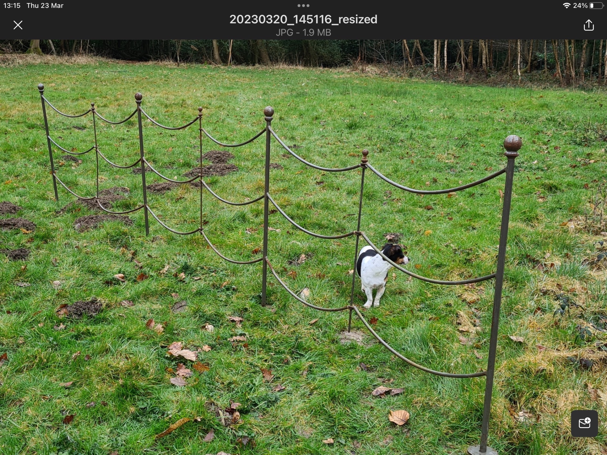 Approximately 350 metres of bespoke wrought iron garden pathway fencing/railing with simple post and pin installation, above ground height 96cm.